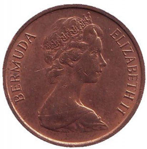 Порося. Монета 1 цент, 1981 рік, Бермудські острови. (В) Полтава - фото 1