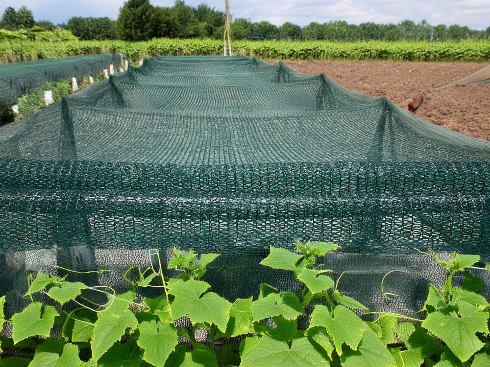 Подвійна опора сітки для рослин Botanic  Crona 1м. Модульний каркас захисту рослин від сонця H=1m Бориспіль - фото 4
