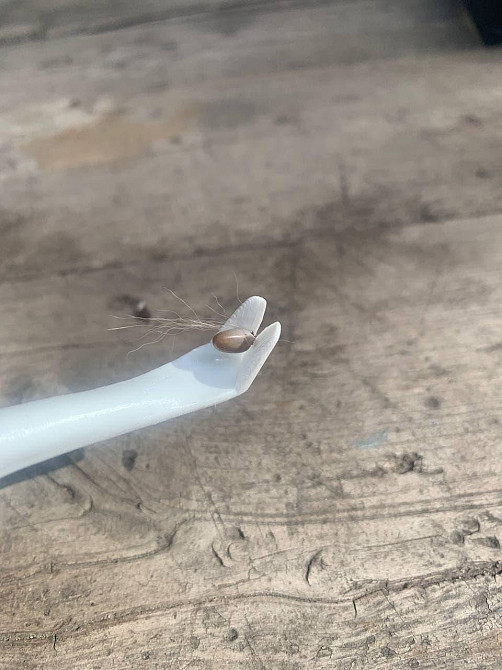 Кліщ – out. Пристрій для швидкого витягання кліща. Дніпро - фото 6