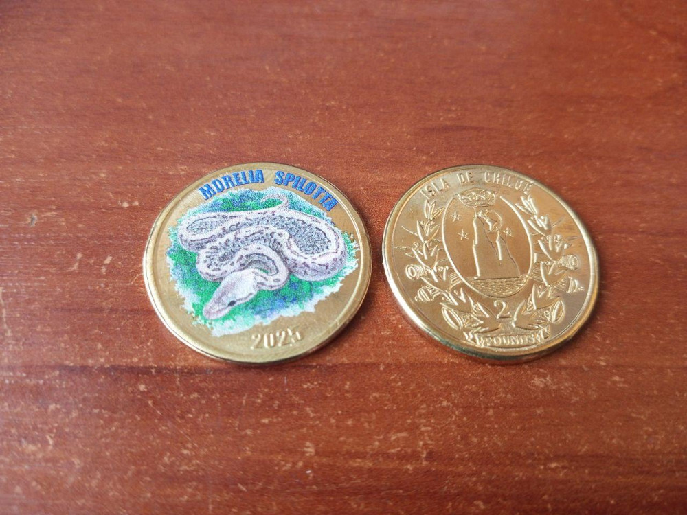Острів де ЧІЛІ 2 фунта 2025 змія Полтава - фото 1