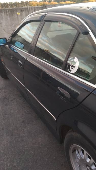 Наклейка на авто-мото Пітбуль Чорна, Біла світло Київ - фото 3