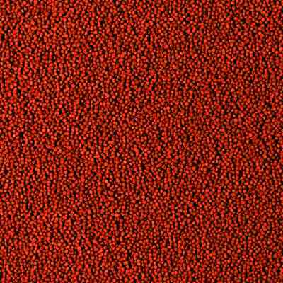 Корм для рыб Tropical Betta Granulat в гранулах 10 г (5900469614419) Винница