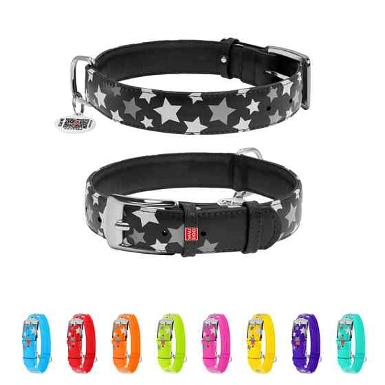 Нашийник для собак шкіряний WAUDOG Glamour з QR паспортом, візерунок "Зірочка", світлонакопичув Коломыя