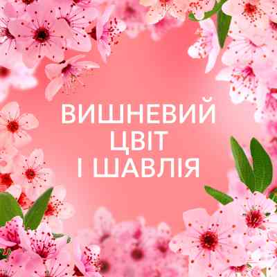 Кондиционер для белья Lenor Вишневый цвет и шалфей 675 мл (8700216723657) Винница