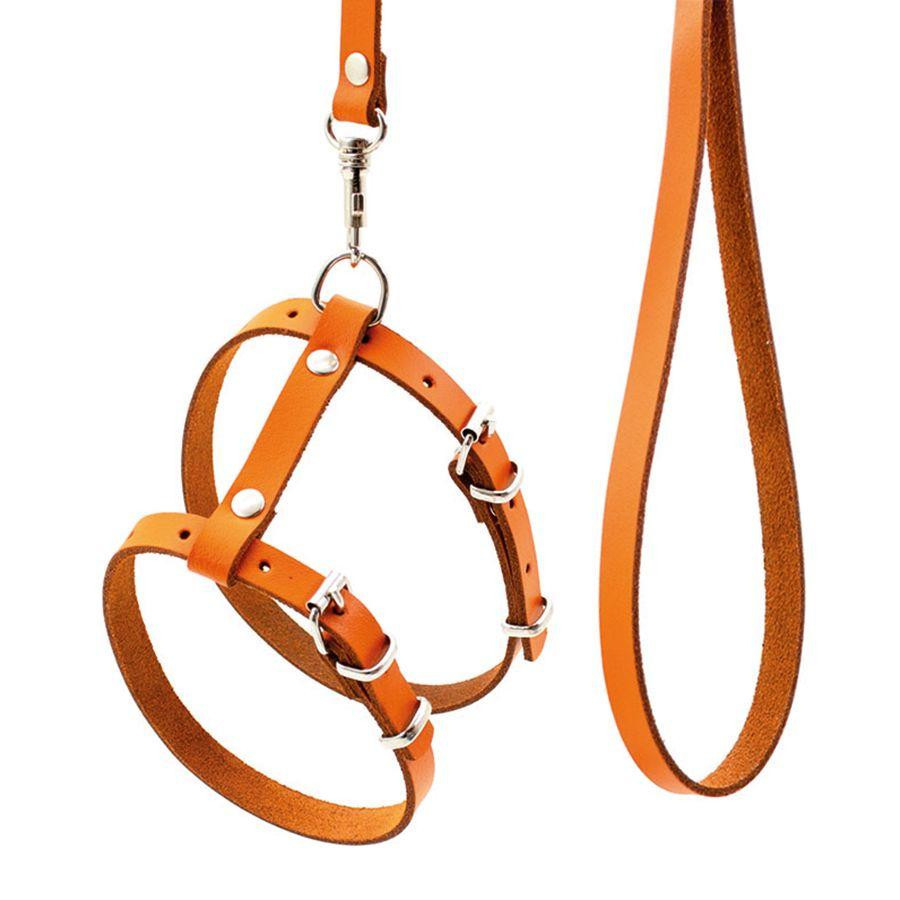 Шкіряний комплект "Кіт" шлейка з повідцем для кішок (колір в асортименті), Лорі Вінниця - фото 1