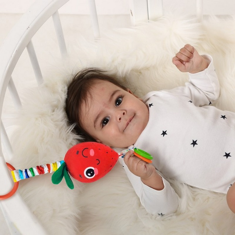 Погремушка-подвеска с прорезывателем 