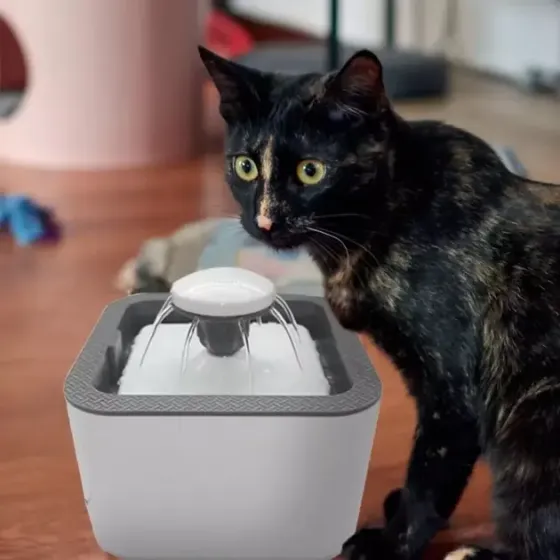 Поилка для животных Pet Water FOUNTAIN Автоматическая поилка - фонтан Коломыя