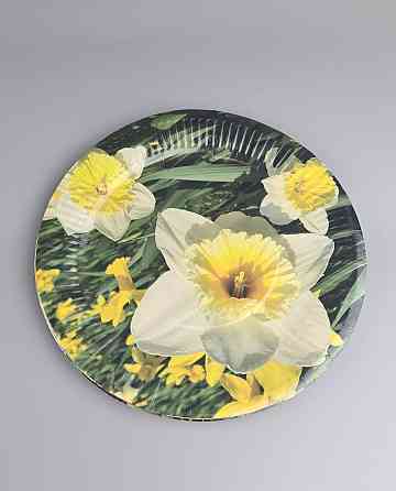 Тарілка паперова 23 см "No61 10 шт (1 пачка) Харків