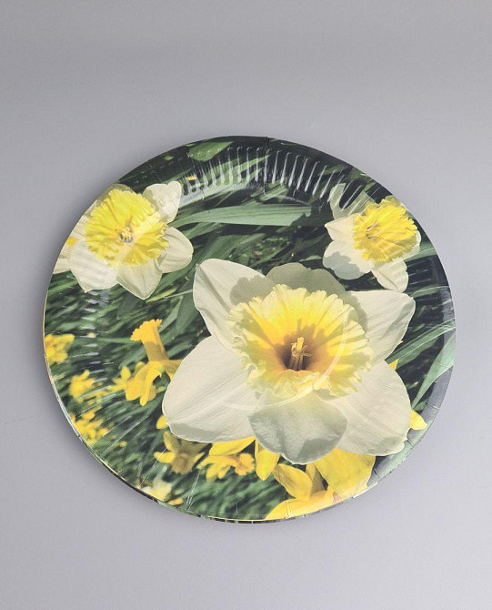 Тарелка бумажная 23см