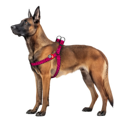 Шлея для собак WAUDOG Nylon з QR паспортом "Кавун" пластиковий фастекс XL (324-0049) Вінниця - фото 3