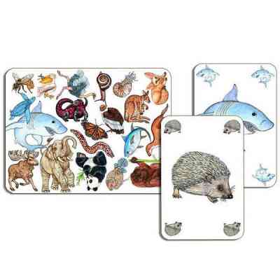 Настольная игра Djeco Занималка (Zanimatch) (DJ05153) Винница