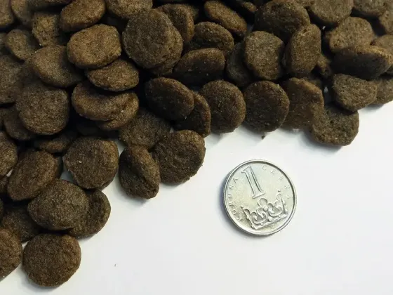Taste of the Wild Pacific Stream Canine Formula (Тейст оф зе Вайлд) сухой беззерновой корм с лососем для собак 5.6 кг. Запорожье