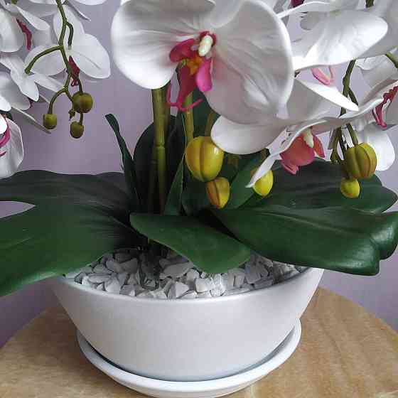 Штучна латексна орхідея преміум в білому керамічному кашпо на п'ять гілок біло-малинова Дніпро