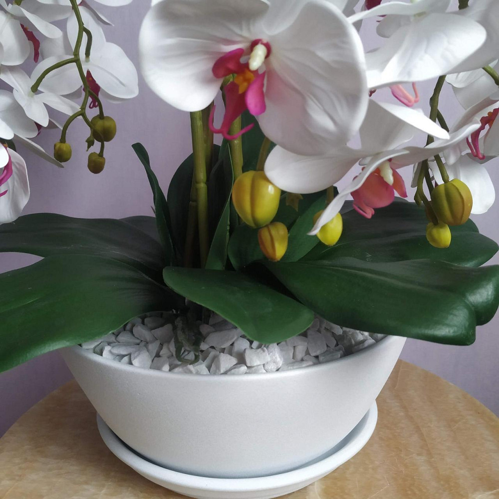 Штучна латексна орхідея преміум в білому керамічному кашпо на п'ять гілок біло-малинова Дніпро - фото 4