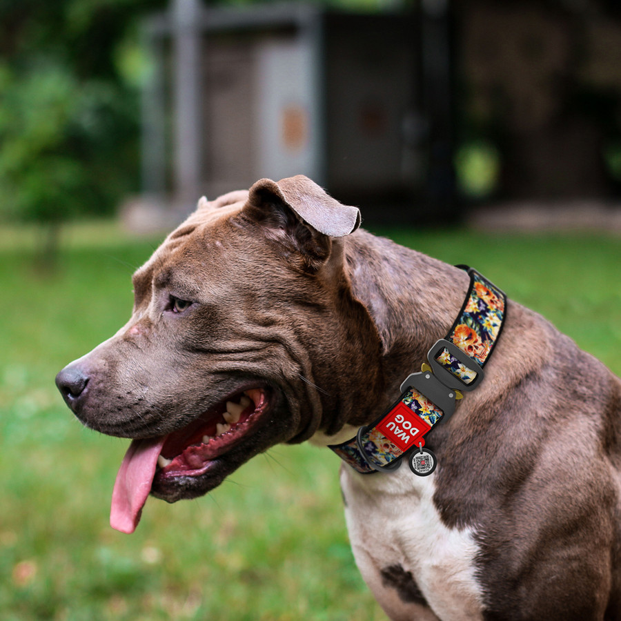Нашийник для собак нейлоновий WAUDOG Nylon з QR паспортом, малюнок "Гламурні черепи", металева Коломыя - изображение 2