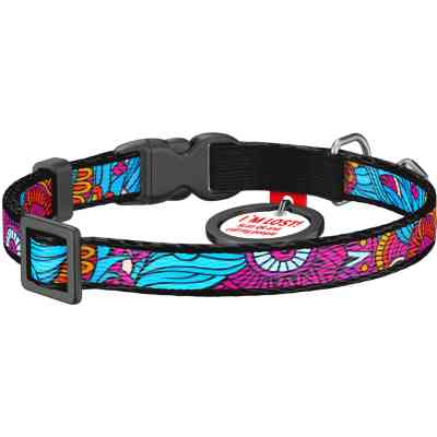 Нашийник для тварин WAUDOG Літо з QR паспортом XS 20-30 см (5267) Вінниця