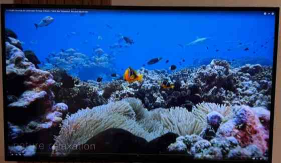 Монитор Philips BDM4350UС. Киев