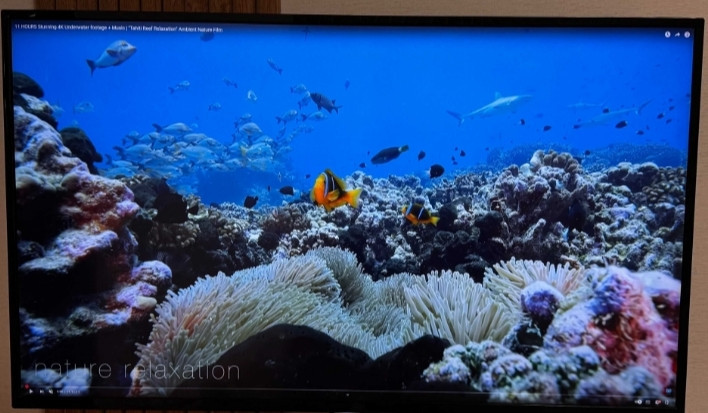 Монитор Philips BDM4350UС. Київ - фото 4