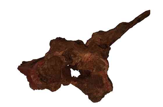 Декор в акваріум до 10см 17081 Луцьк