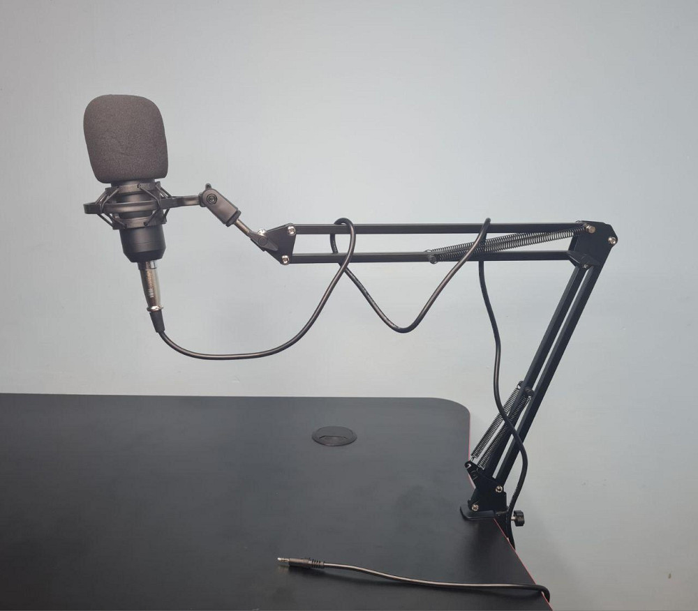 Професійний студійний мікрофон для ПК Клевань - фото 1