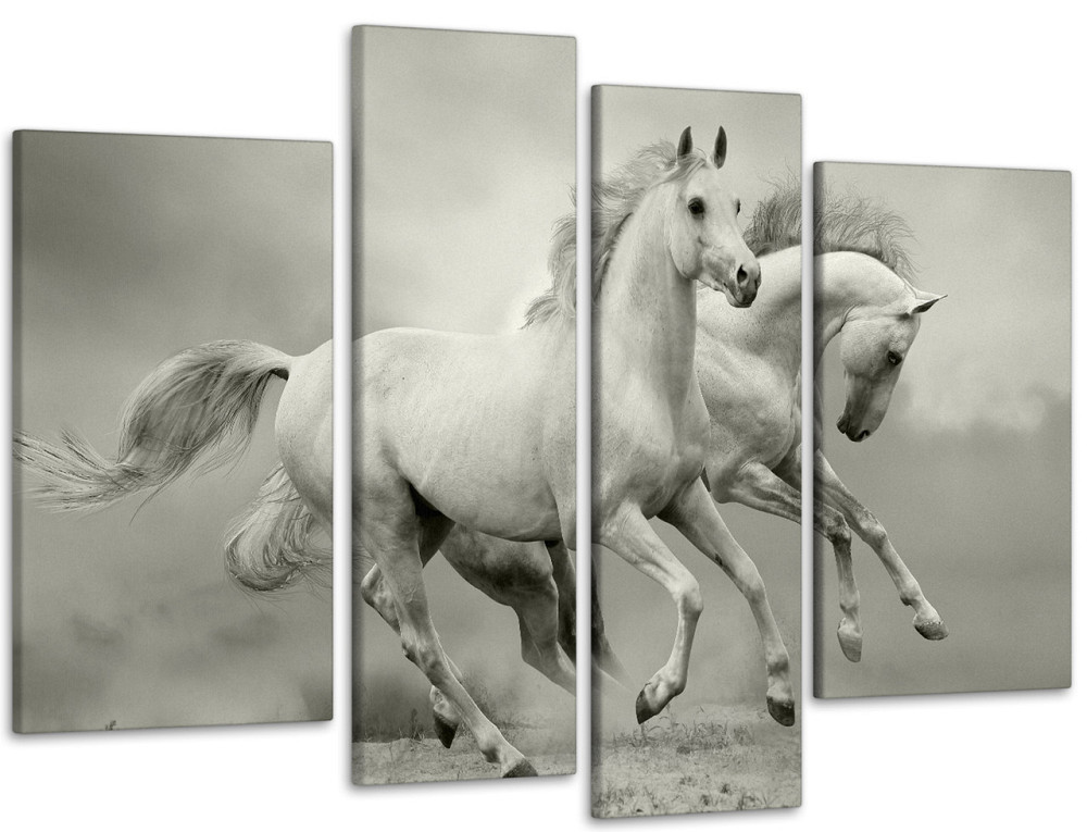 Модульна картина Коні Art-87_4 Київ - фото 1