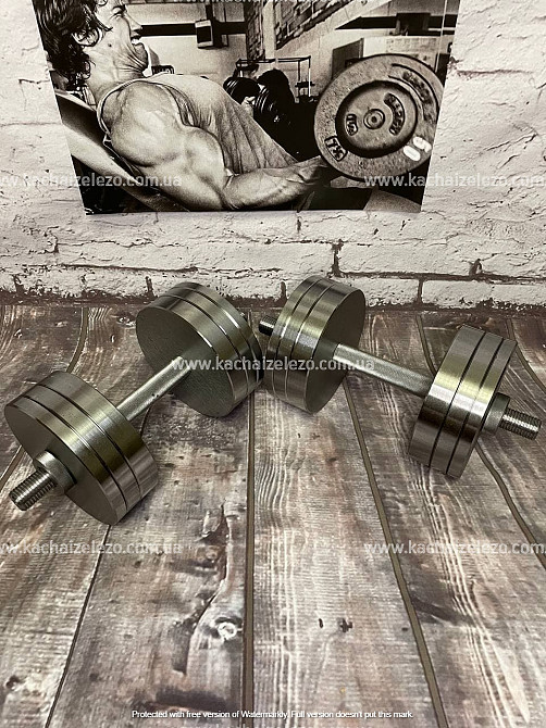 Гантели наборные 2 по 24 кг + Переходник для штанги Гантели, гири, штанги и диски металлические без покрытия Киев - изображение 8