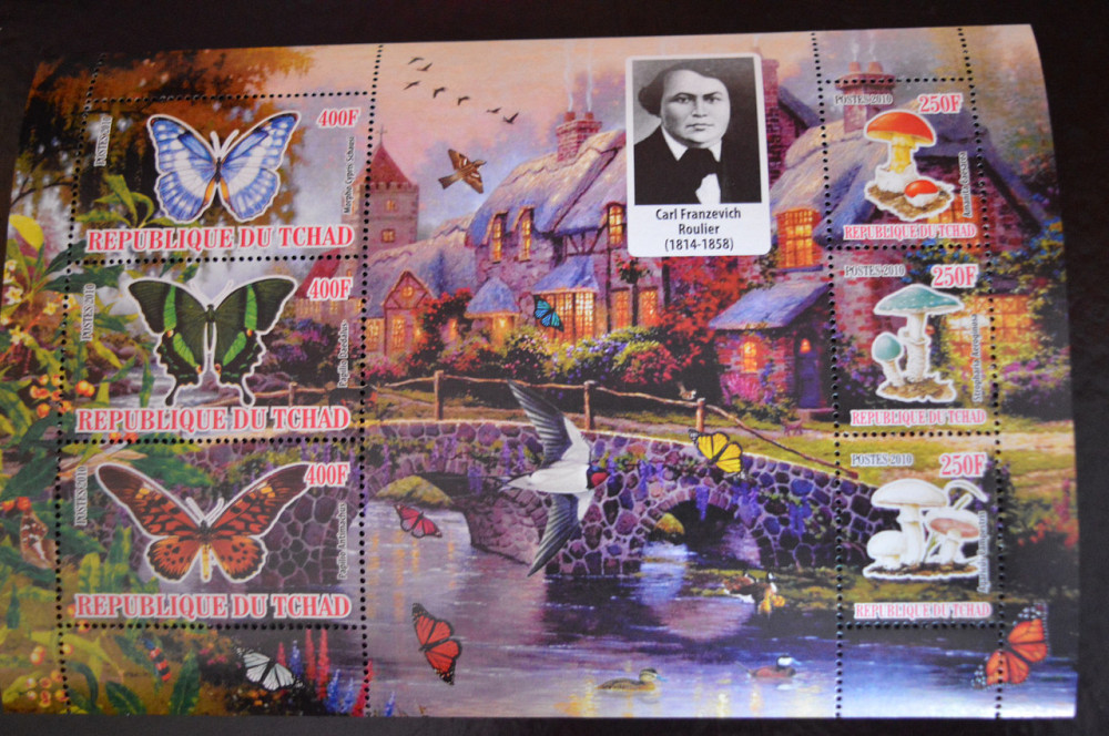 Чад. Фауна. Личность. 2010 год Полтава - изображение 1