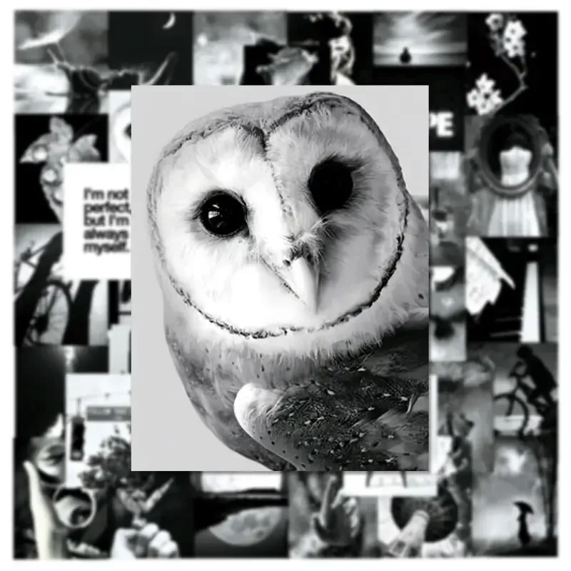 Набор черно-белых мотивационных стикеров 50 шт — вдохновение, арт-декор, фотоэстетика Киев - изображение 6