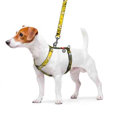 Шлей для собак WAUDOG Nylon H-образная с QR-паспортом "Бэтмен Эскиз", светоотражающая М (344-1081) Винница