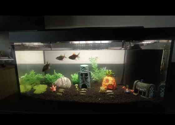 Декор для аквариума с мультфильма Губка Боб 8 фигурок пластик разноцветный Киев