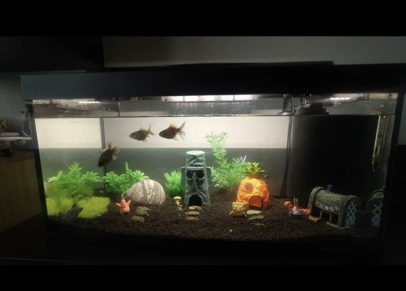 Декор для акваріума з мультфильма Губа Боб акваріумний 8 фігурок пластик різнокольровий Київ - фото 3