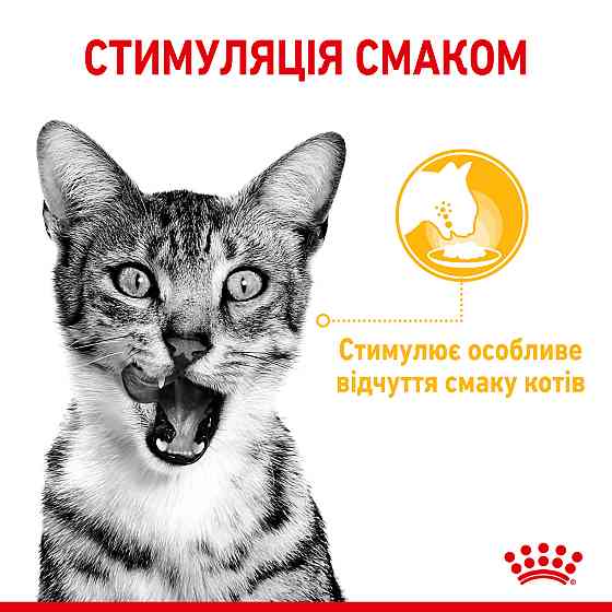 Вологий корм для дорослих котів ROYAL CANIN SENSORY TASTE GRAVY 85 г, шматочки у соусі, cтимулює смак Київ