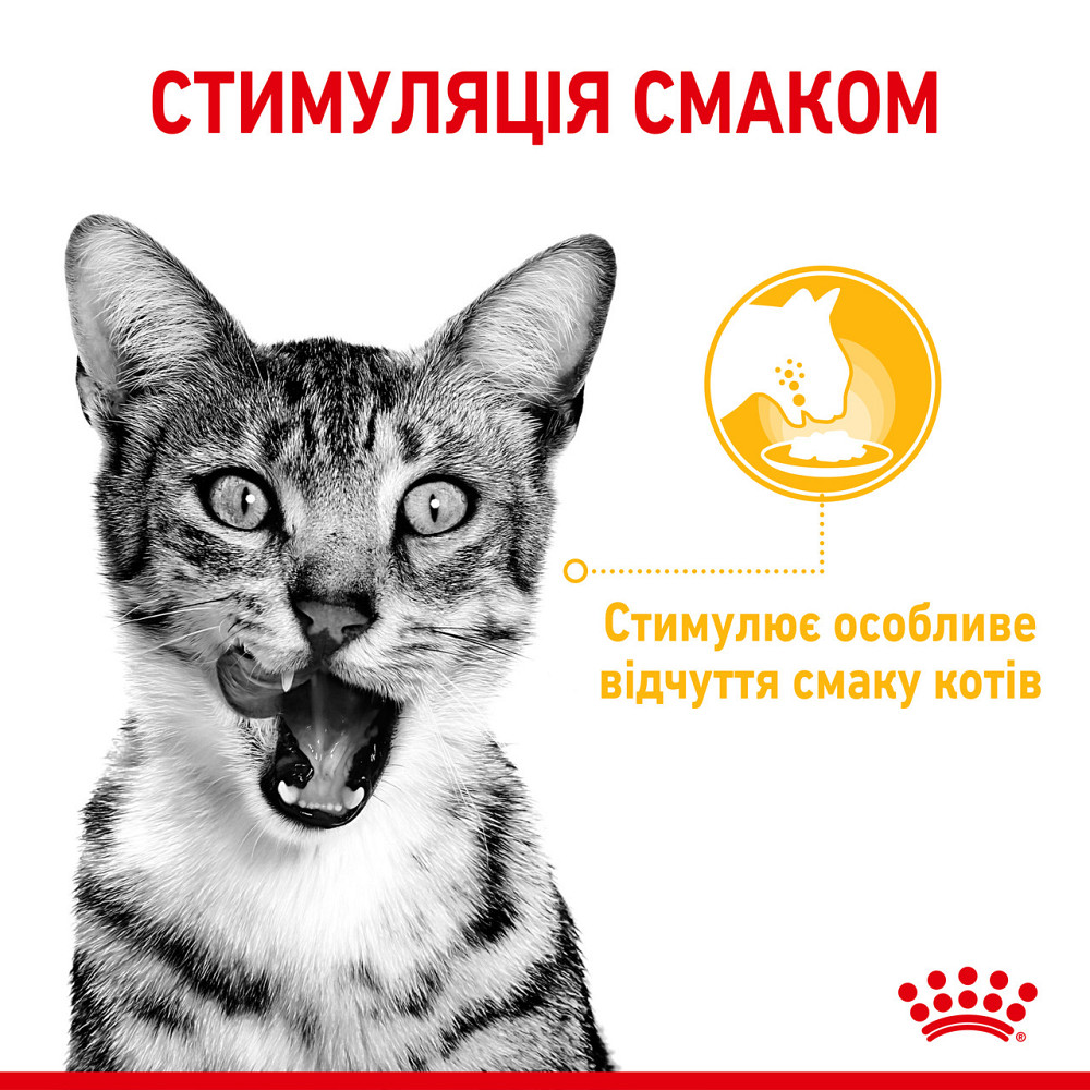 Влажный корм для взрослых кошек ROYAL CANIN SENSORY TASTE GRAVY 85 г, кусочки в соусе, стимулирует вкус Киев - изображение 3