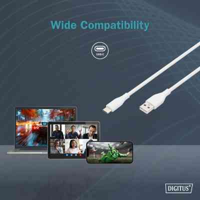 Дата кабель USB 2.0 AM to Type-C 2.0m 60W white Digitus (AK-300340-020-W) Винница