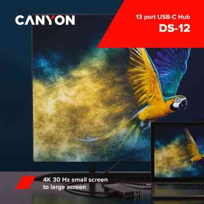 Порт-реплікатор Canyon DS-12, 13 in 1 USB-C hub, 2*HDMI, Gigabit Ethernet, VGA, 3*USB3.0, PD/100W, 3.5mm audio jack (CNS-TDS12) Вінниця