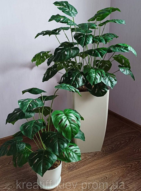 Штучний великий кущ монстери  із латексу Дніпро - фото 5