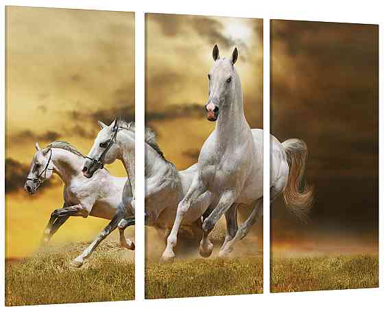 Модульна картина Білі Коні Art-79_XXL Київ