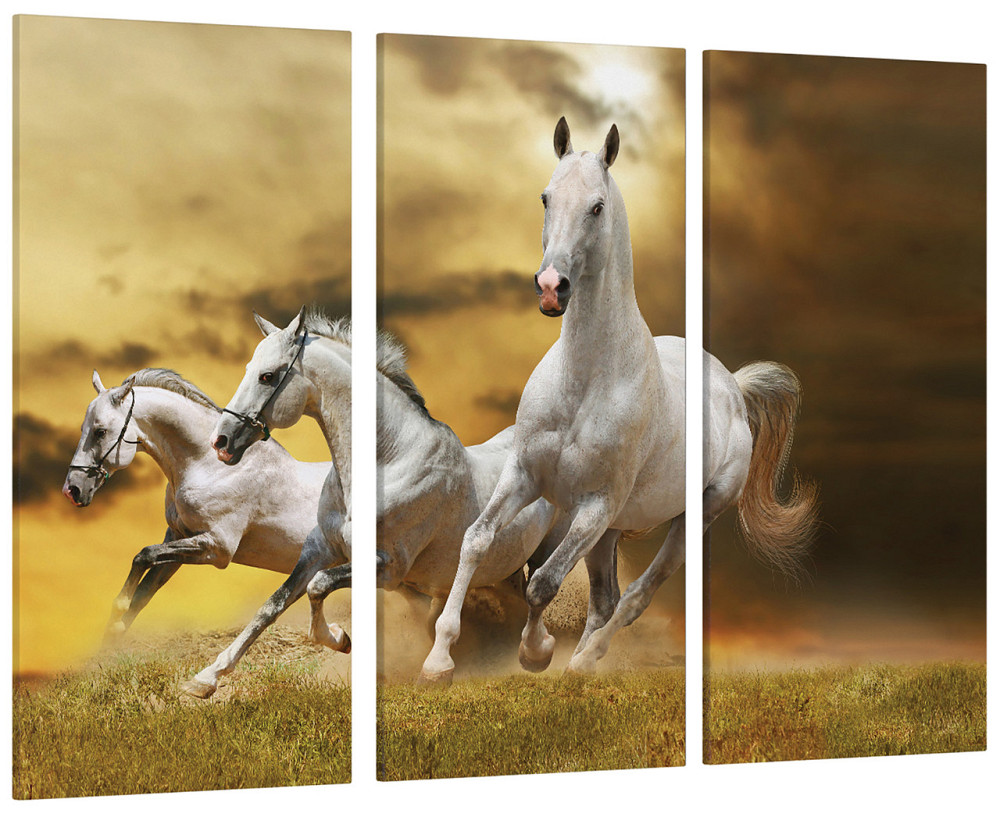 Модульна картина Білі Коні Art-79_XXL Київ - фото 1