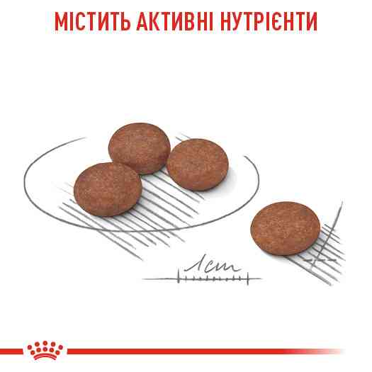 Корм для собак малых размеров с чувствительной пищеварительной системой ROYAL CANIN MINI DIGESTIVE CARE 3 кг Киев