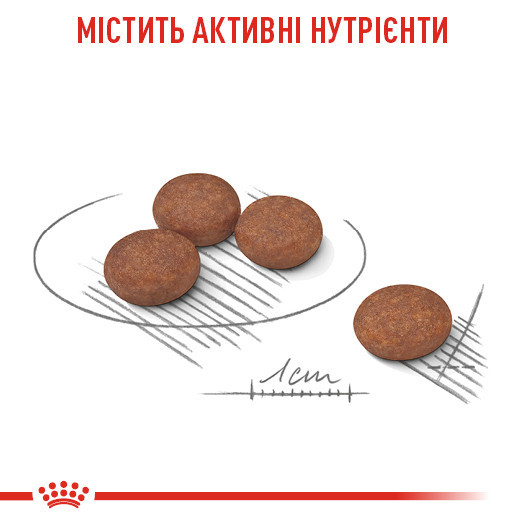 Корм для собак малых размеров с чувствительной пищеварительной системой ROYAL CANIN MINI DIGESTIVE CARE 3 кг Киев - изображение 3