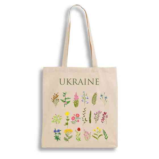 Екошопер BookOpt BK4083 Польові квіти, бежевий Луцьк
