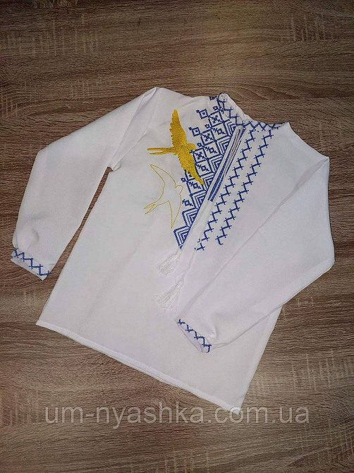 Хлопчача вишиванка "Ластівки" Кривий Ріг - фото 3