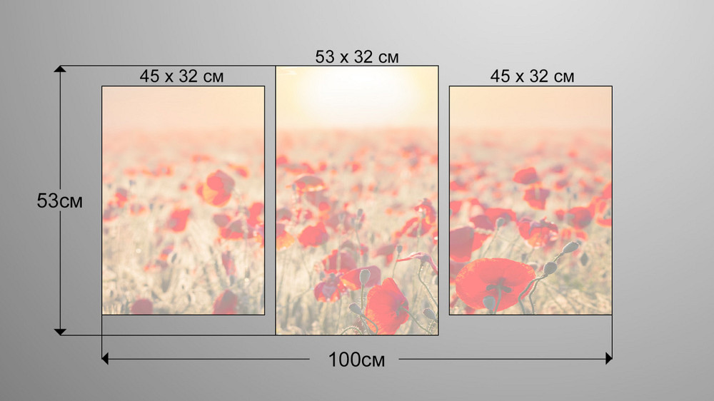 Модульна картина Природа Маки Art-64_3 Київ - фото 3