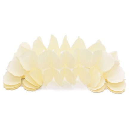 Гирлянда растяжка бумажная 3 м 16 на 11 см бежевый Киев - изображение 1