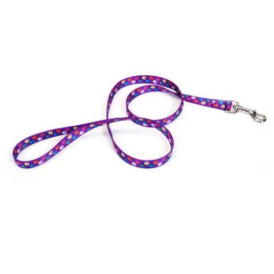 Coastal Pet Attire Styles КОСТАЛ СТАЙЛС повідець для собак, 2смХ1.2м Київ