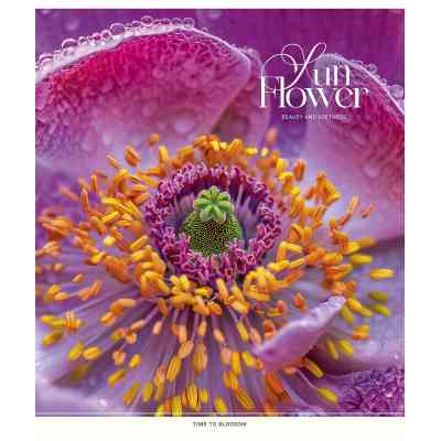 Тетрадь Школярик Sun Flower 60 листов клетка (060-3456K) Винница
