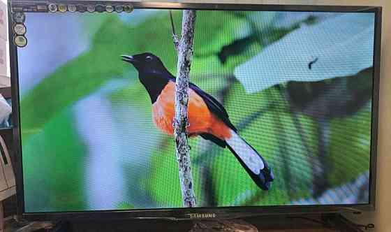 Телевизор: Samsung 34