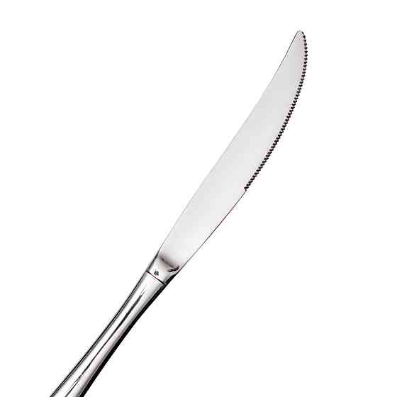 Ding Lanfang Набір столових ножів 6 штук ножі сервірувальні з нержавіючої сталі 22 (см) Срібло Коломия