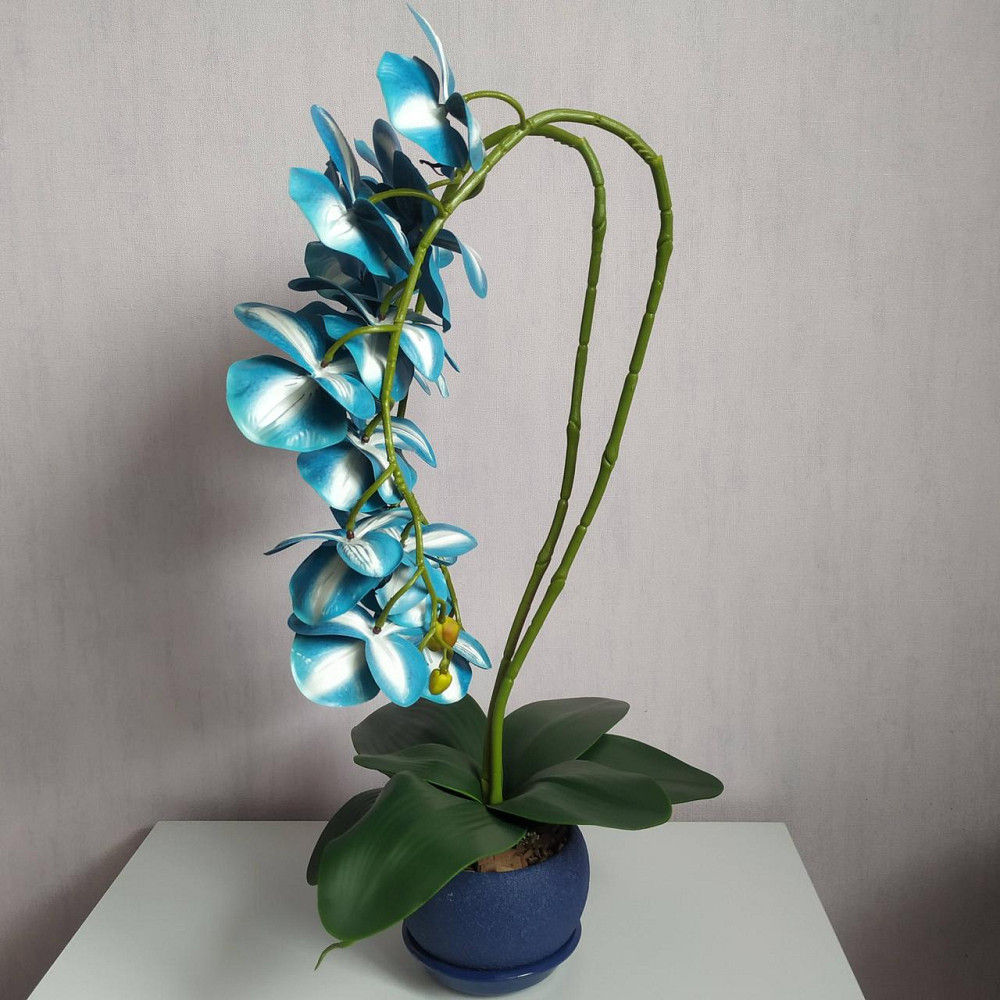 Штучна латексна орхідея VIP в синьому керамічному кашпо на дві гілки синя Дніпро - фото 4