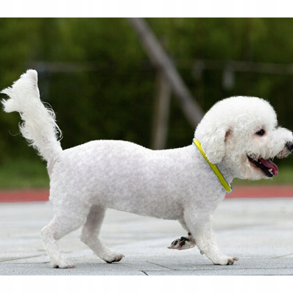 Нашийник зі світлодіодним підсвічуванням для домашніх тварин Purlov (24200) Нововолинськ - фото 8